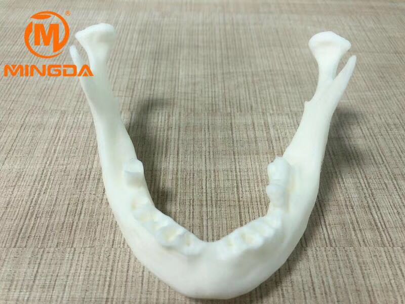 工業(yè)級(jí)3D打印機(jī)在牙科行業(yè)的應(yīng)用(圖2) 工業(yè)級(jí)3D打印機(jī)在牙科行業(yè)的應(yīng)用(圖2)